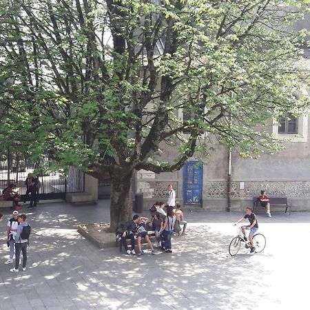Un Appartement Lumineux Au Parc Beaumont Pau Eksteriør billede