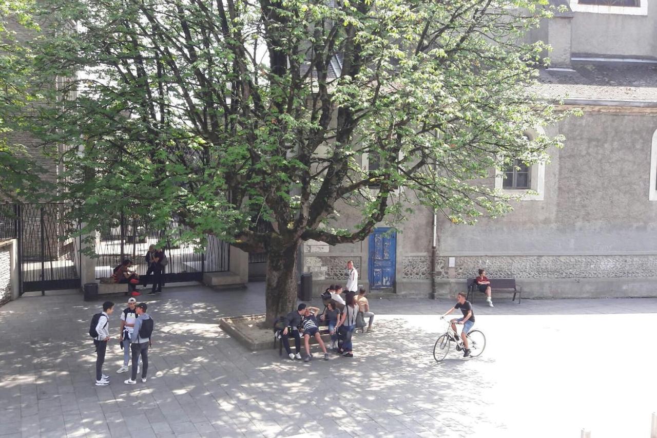 Un Appartement Lumineux Au Parc Beaumont Pau Eksteriør billede